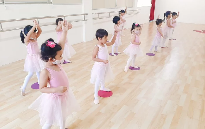 Sribu Dance Academy|Home