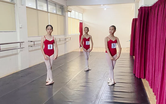 Sribu Dance Academy|Home